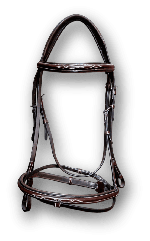 LEATHER FANCY BRIDLE - Premium Leather Equestrian Manufacturer