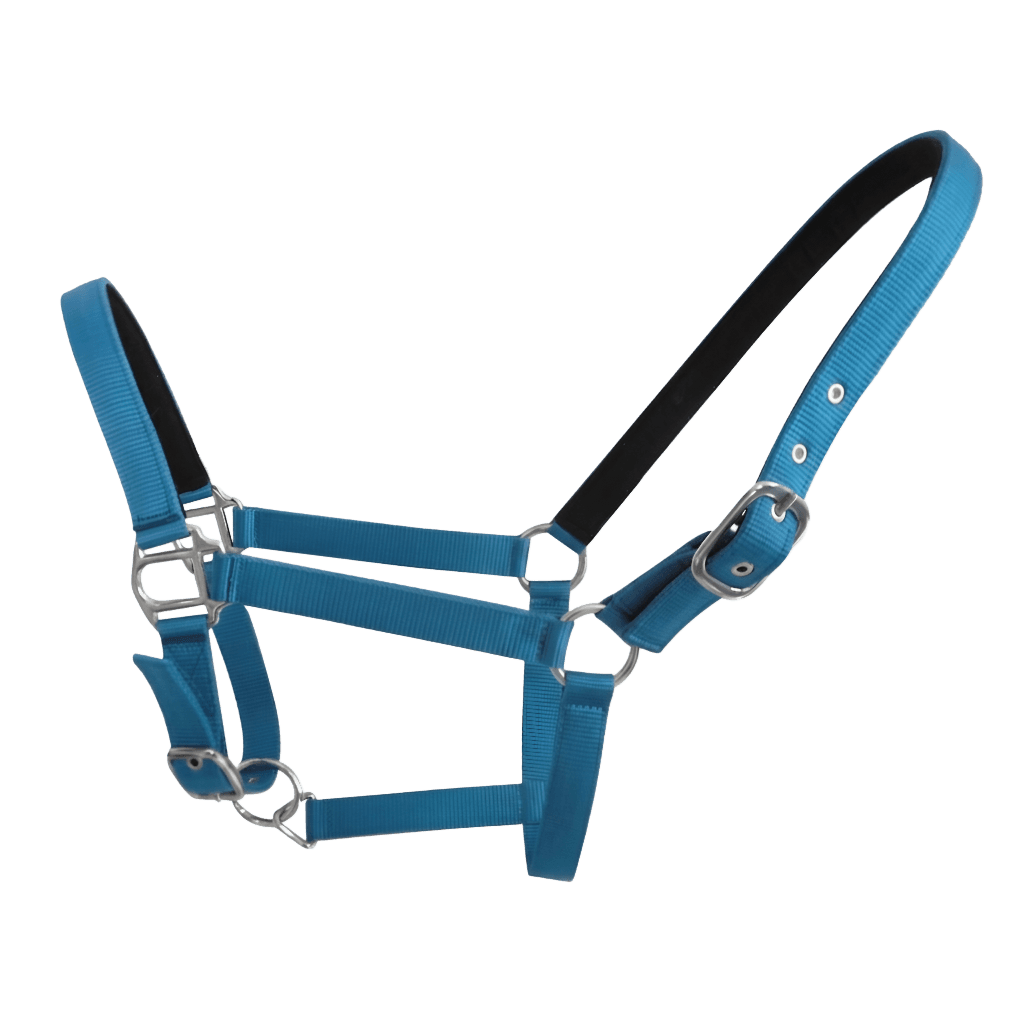 HORSE WEBBING PADDED HALTER - Premium Leather Equestrian Manufacturer