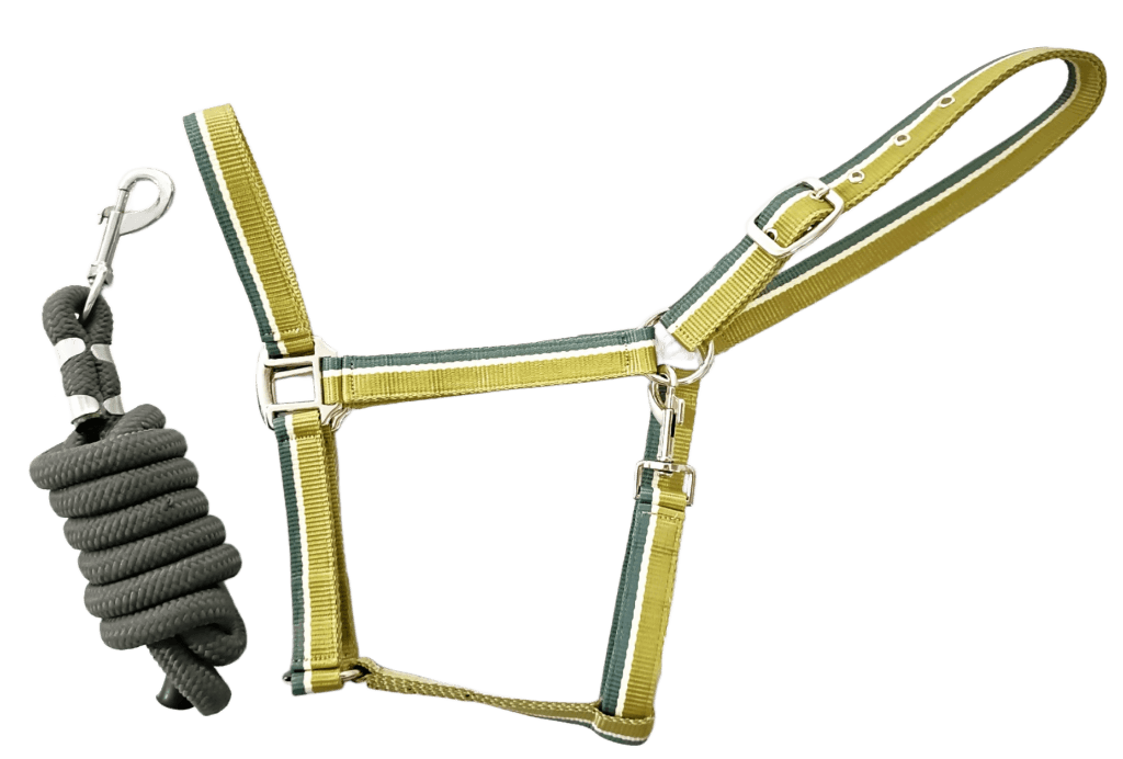 HORSE ECONOMY HALTER WITH LEAD ROPE - Premium Leather Equestrian Manufacturer
