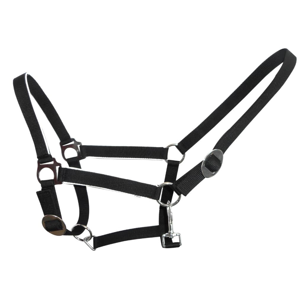 HORSE ECONOMY HALTER - Premium Leather Equestrian Manufacturer