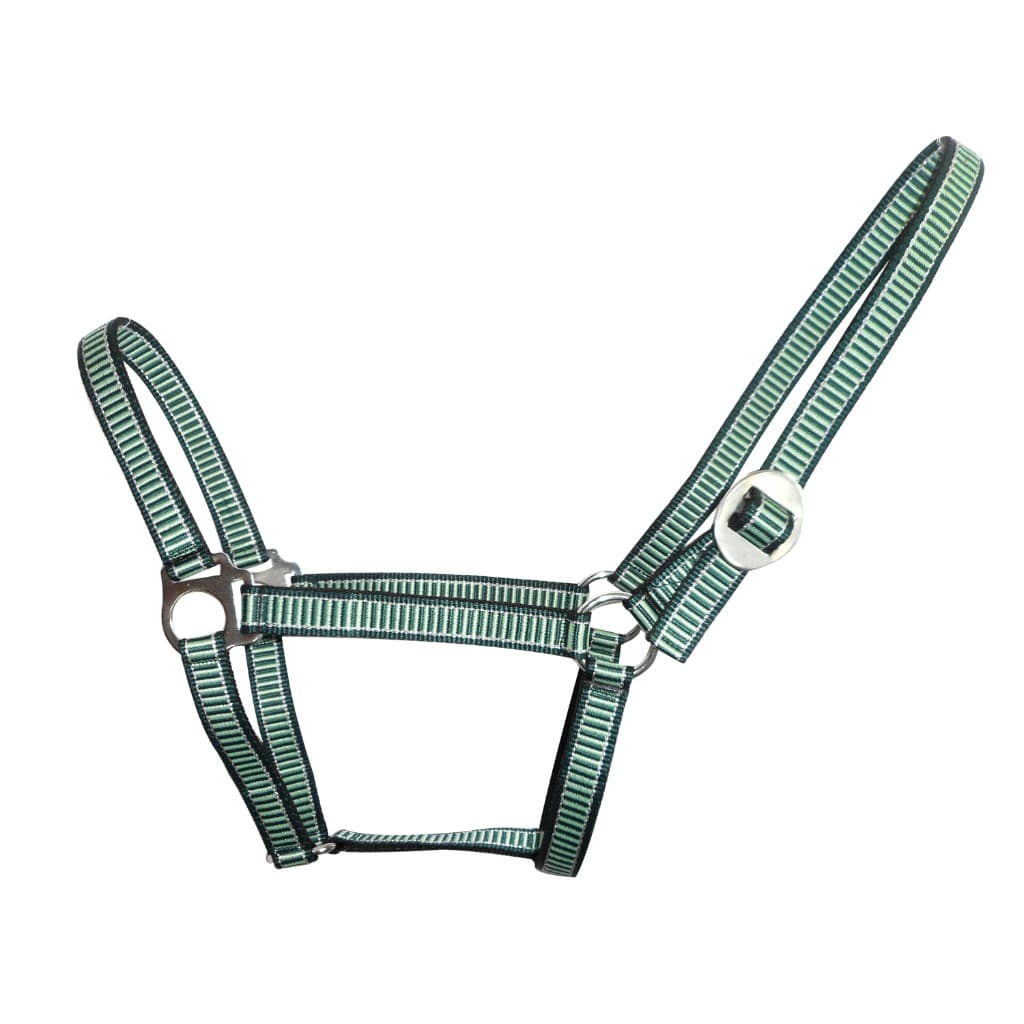 HORSE ECONOMY HALTER - Premium Leather Equestrian Manufacturer
