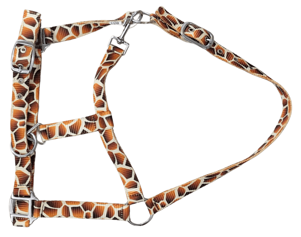 HORSE PRINTED WEBBING HALTER - Premium Leather Equestrian Manufacturer
