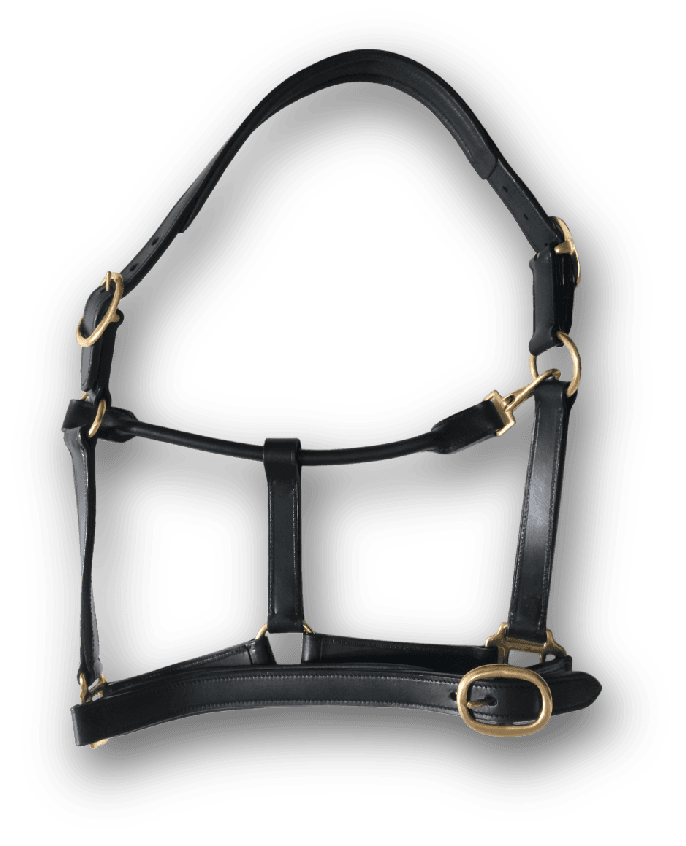 HORSE LEATHER PADDED HALTER - Premium Leather Equestrian Manufacturer
