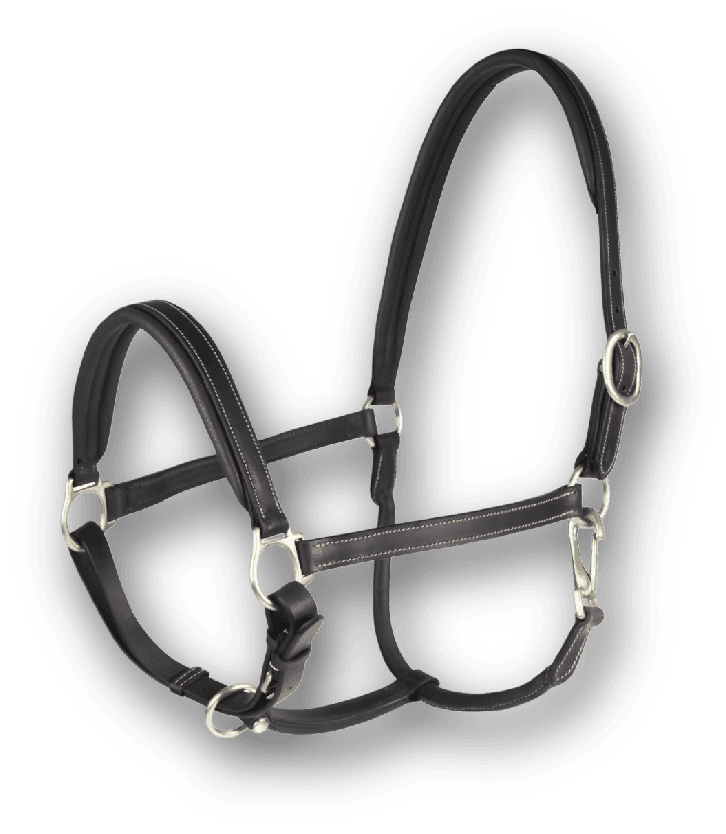 HORSE 19MM LEATHER PADDED HALTER - Premium Leather Equestrian Manufacturer