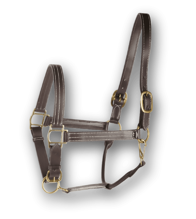HORSE PLAIN LEATHER HALTER - Premium Leather Equestrian Manufacturer