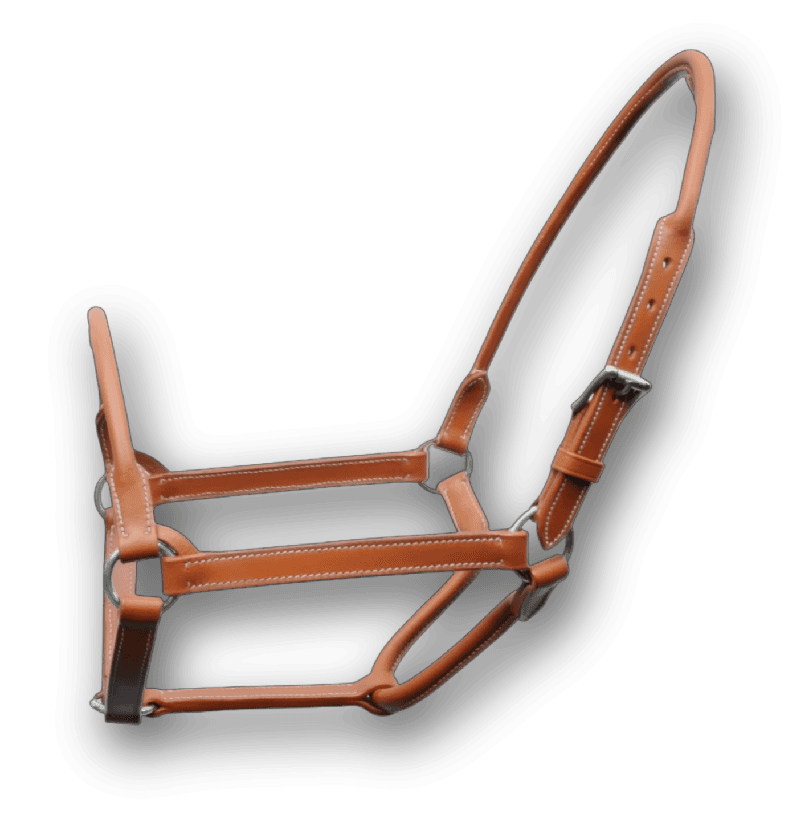 HORSE 19MM ECONOMIC LEATHER HALTER - Premium Leather Equestrian Manufacturer