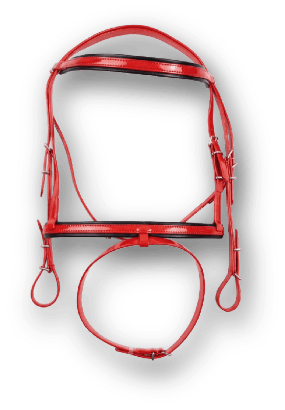 PVC PADDED BRIDLE - Premium Leather Equestrian Manufacturer