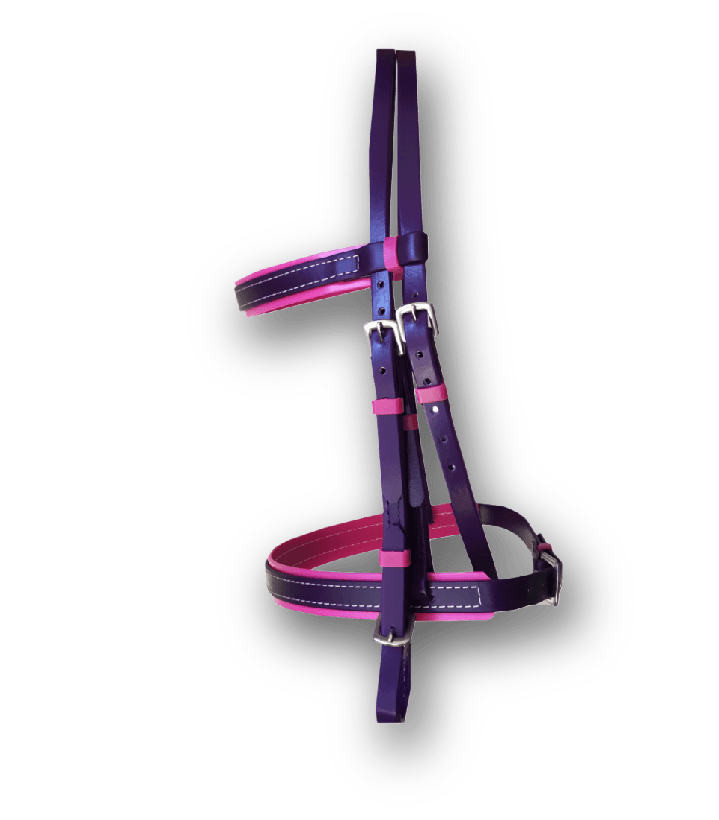PVC PADDED BRIDLE - Premium Leather Equestrian Manufacturer