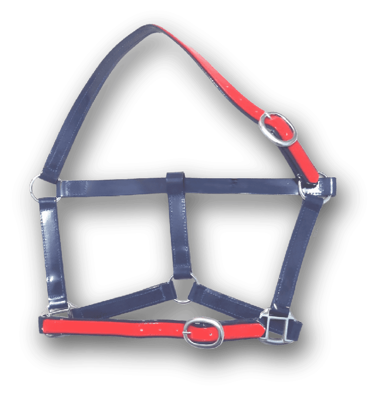 DOUBLE PVC HALTER - Premium Leather Equestrian Manufacturer