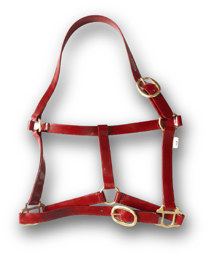 SINGLE PLY PVC HALTER - Premium Leather Equestrian Manufacturer